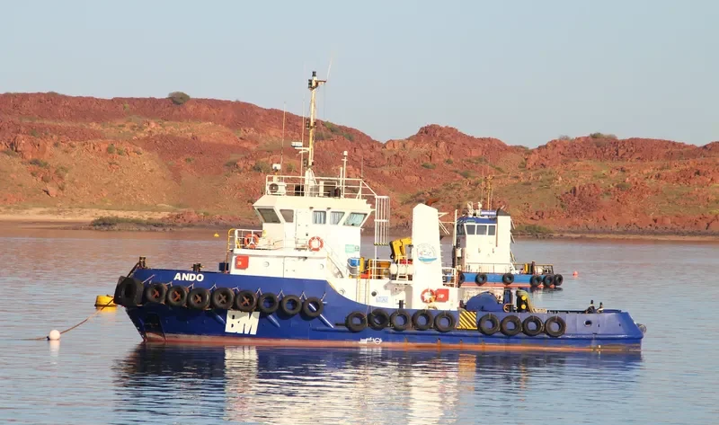 ANDO General Cargo IMO 9529554 photo 3