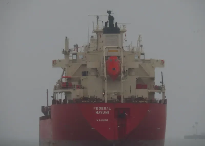 FEDERAL MAYUMI Bulk Carrier IMO 9529578