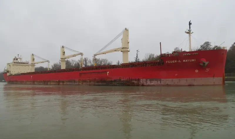 FEDERAL MAYUMI Bulk Carrier IMO 9529578 photo 3