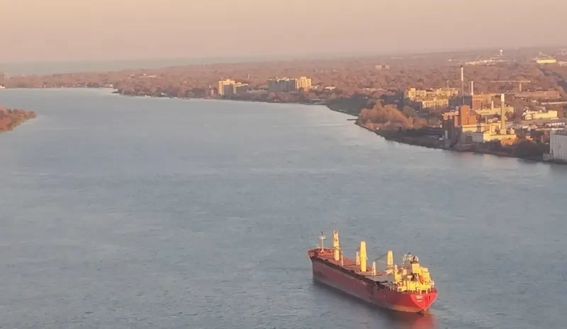 FEDERAL MAYUMI Bulk Carrier IMO 9529578 photo 4