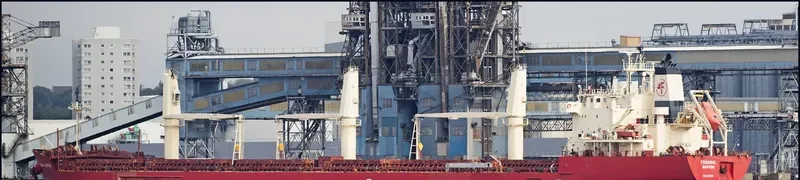 FEDERAL MAYUMI Bulk Carrier IMO 9529578 photo 6