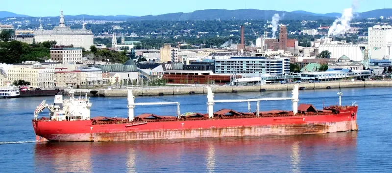 FEDERAL MAYUMI Bulk Carrier IMO 9529578 photo 7