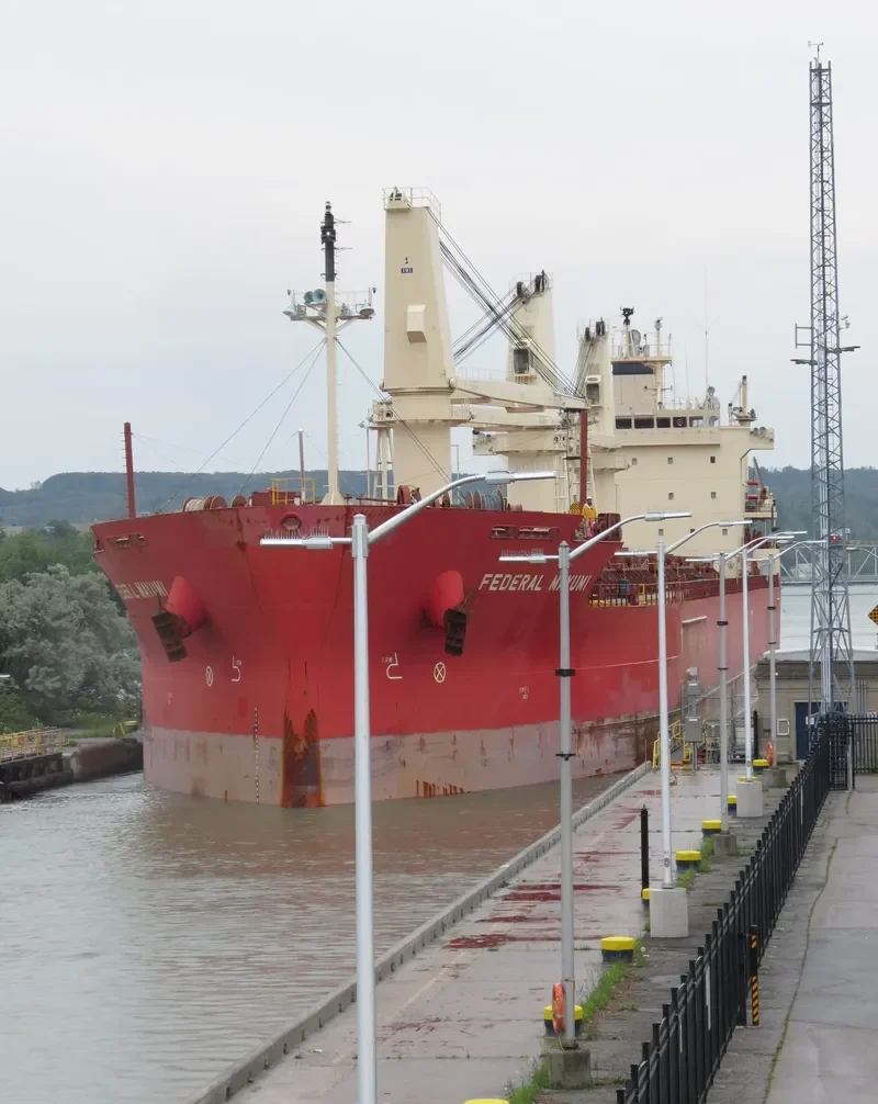 FEDERAL MAYUMI Bulk Carrier IMO 9529578 photo 8