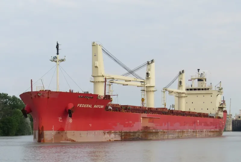 FEDERAL MAYUMI Bulk Carrier IMO 9529578 photo 9