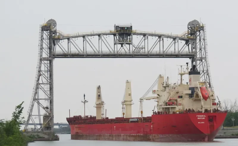 FEDERAL MAYUMI Bulk Carrier IMO 9529578 photo 10