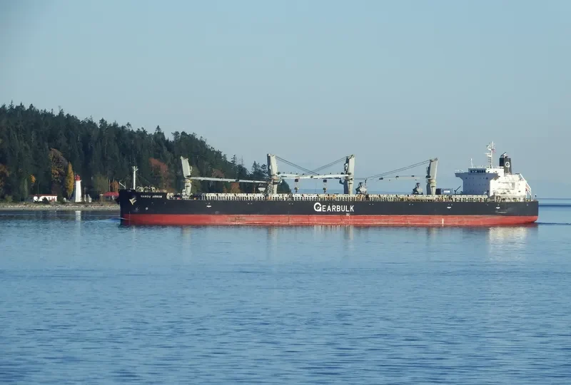 NANDU ARROW General Cargo IMO 9529580