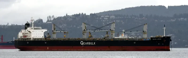 NANDU ARROW General Cargo IMO 9529580 photo 4