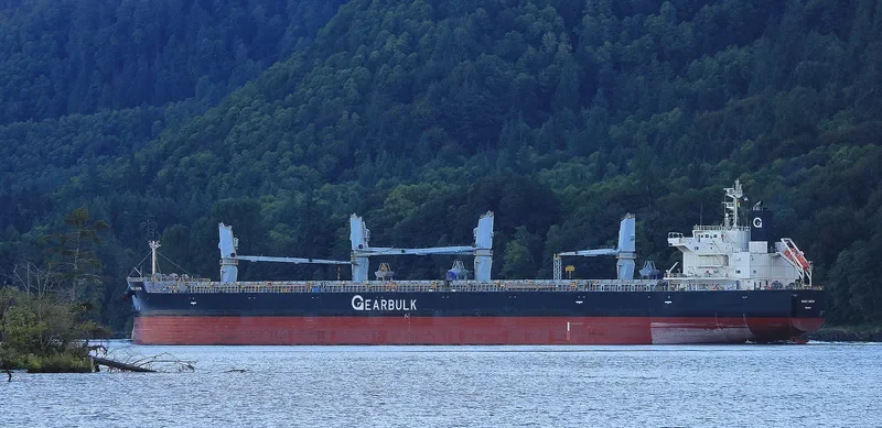 NANDU ARROW General Cargo IMO 9529580 photo 9