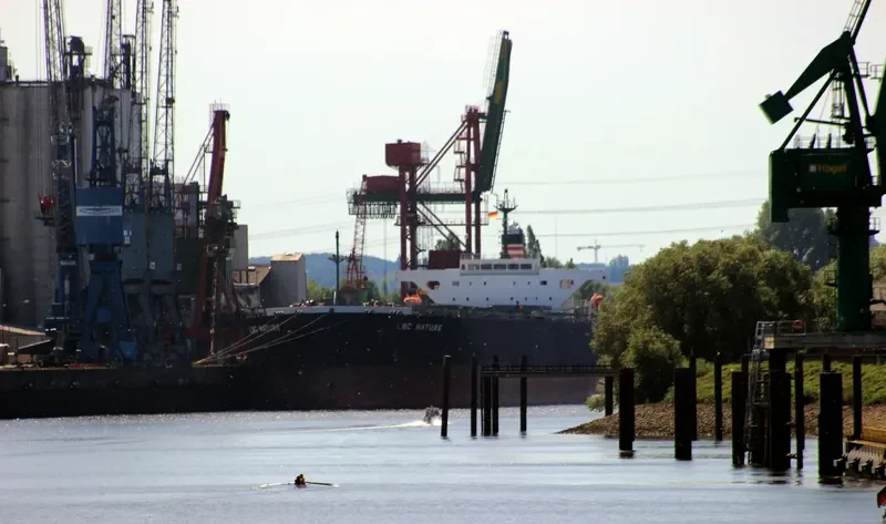 LBC NATURE Bulk Carrier IMO 9529619