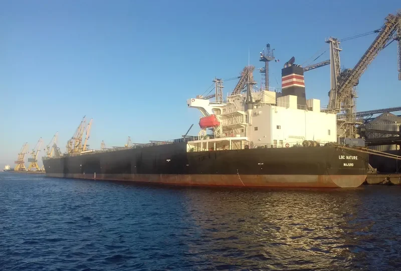 LBC NATURE Bulk Carrier IMO 9529619 photo 9