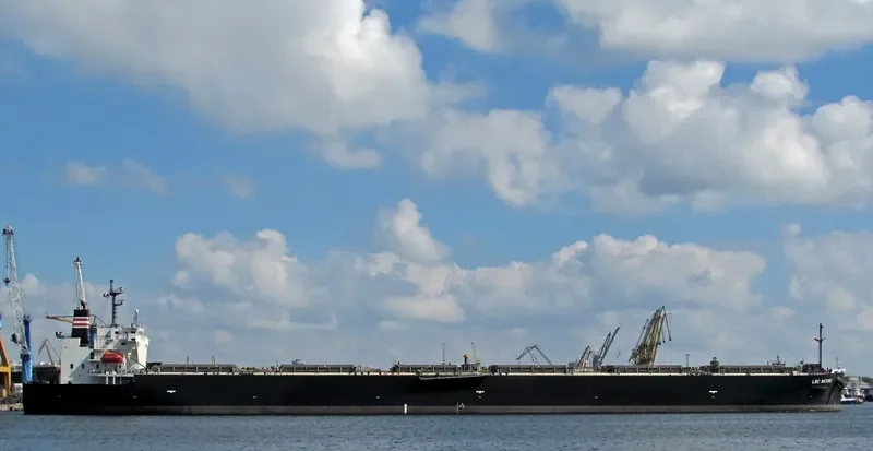LBC NATURE Bulk Carrier IMO 9529619 photo 10