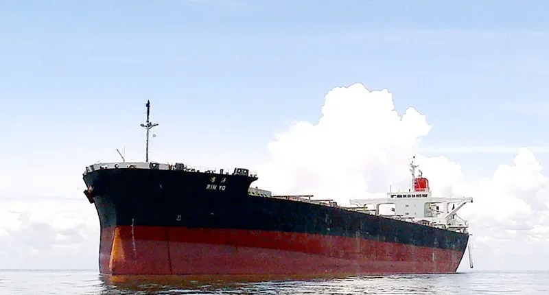 RIN YO Bulk Carrier IMO 9529633 photo 3
