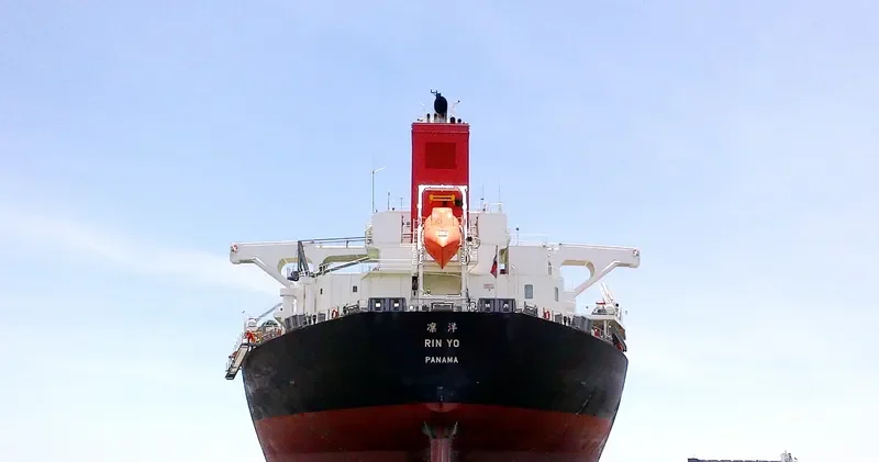 RIN YO Bulk Carrier IMO 9529633 photo 5