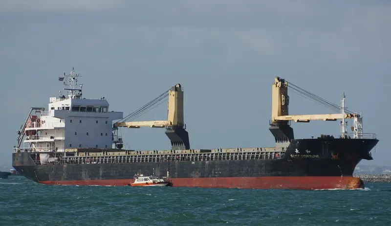 SCSC FORTUNE General Cargo IMO 9530151 photo 9
