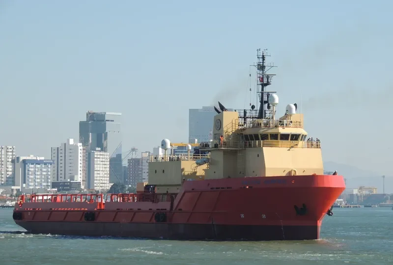 SANTOS SERVICE Offshore Vessel IMO 9530199 photo 3