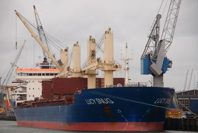 VSEVOLOD BELETSKIY General Cargo IMO 9530307 photo 4