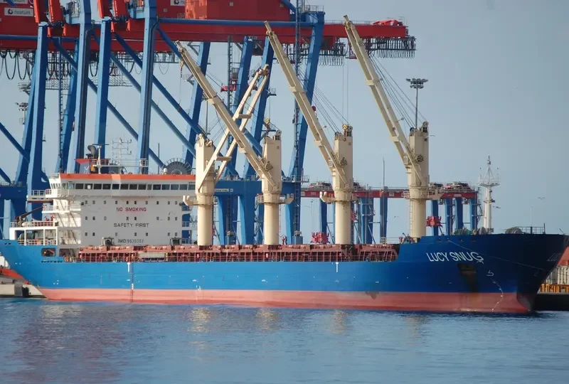 VSEVOLOD BELETSKIY General Cargo IMO 9530307 photo 5