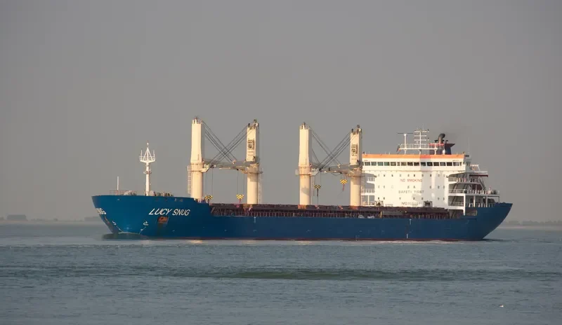 VSEVOLOD BELETSKIY General Cargo IMO 9530307 photo 7