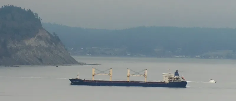 VSEVOLOD BELETSKIY General Cargo IMO 9530307 photo 8