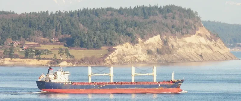 VSEVOLOD BELETSKIY General Cargo IMO 9530307 photo 10