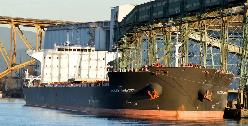 IOLCOS AMBITION Bulk Carrier IMO 9530632 photo 7