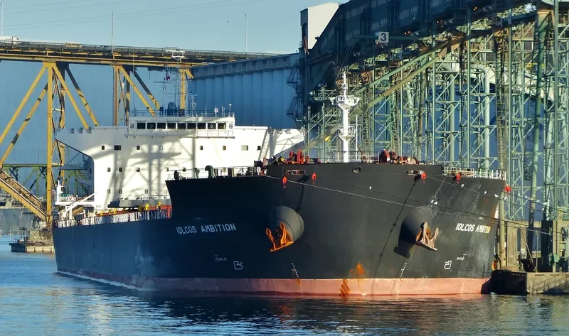 IOLCOS AMBITION Bulk Carrier IMO 9530632 photo 9