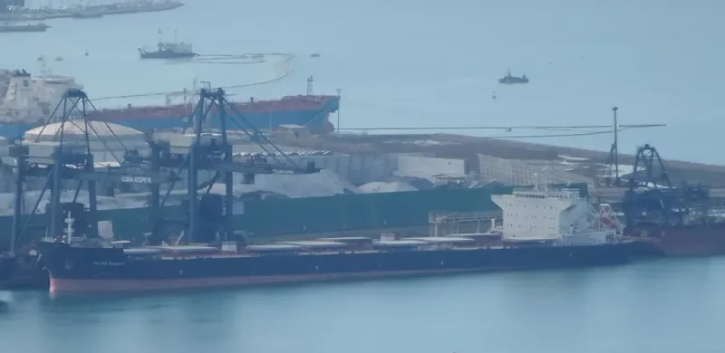 IOLCOS DIGNITY Bulk Carrier IMO 9530644 photo 4