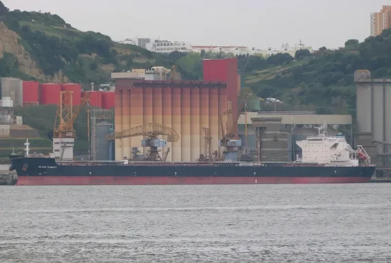 IOLCOS DIGNITY Bulk Carrier IMO 9530644 photo 7