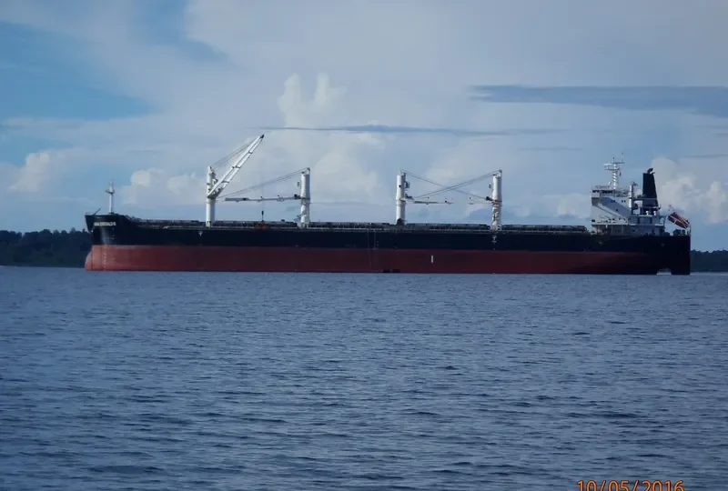 HG SYDNEY Bulk Carrier IMO 9530670 photo 2