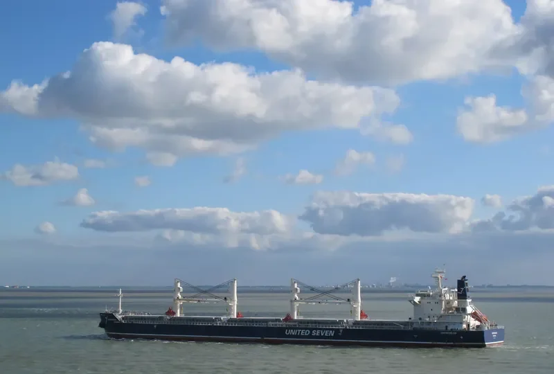 HG SYDNEY Bulk Carrier IMO 9530670 photo 8