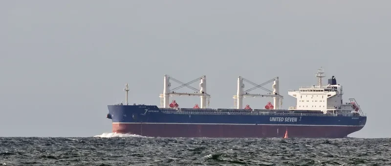 HG SYDNEY Bulk Carrier IMO 9530670 photo 9