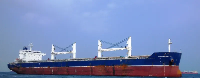 HG BRISBANE Bulk Carrier IMO 9530682 photo 3