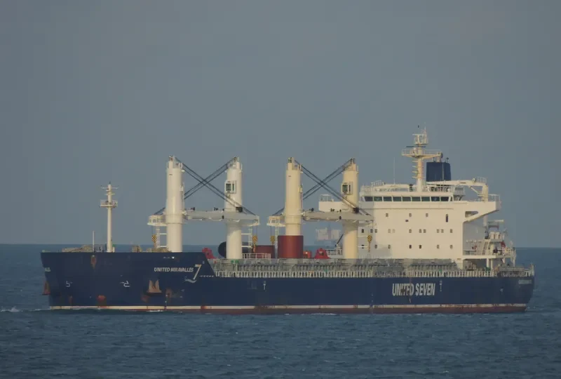 HG BRISBANE Bulk Carrier IMO 9530682 photo 5
