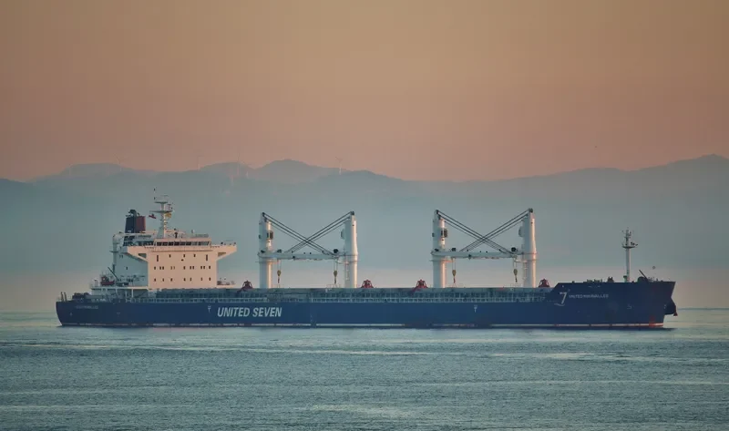 HG BRISBANE Bulk Carrier IMO 9530682 photo 6