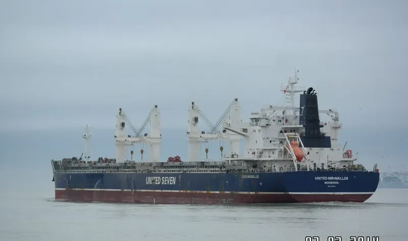 HG BRISBANE Bulk Carrier IMO 9530682 photo 8