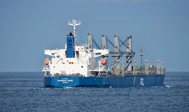 INDIGO MARCH General Cargo IMO 9530711 photo 2