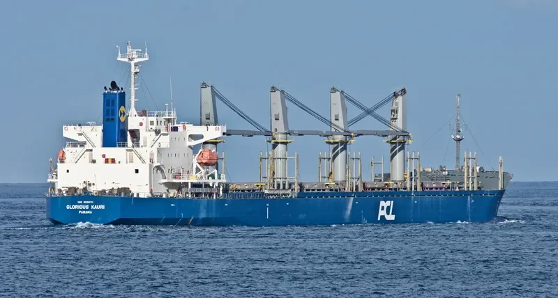 INDIGO MARCH General Cargo IMO 9530711 photo 5