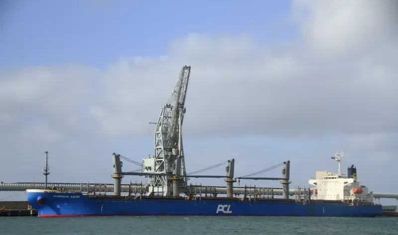 INDIGO MARCH General Cargo IMO 9530711 photo 8