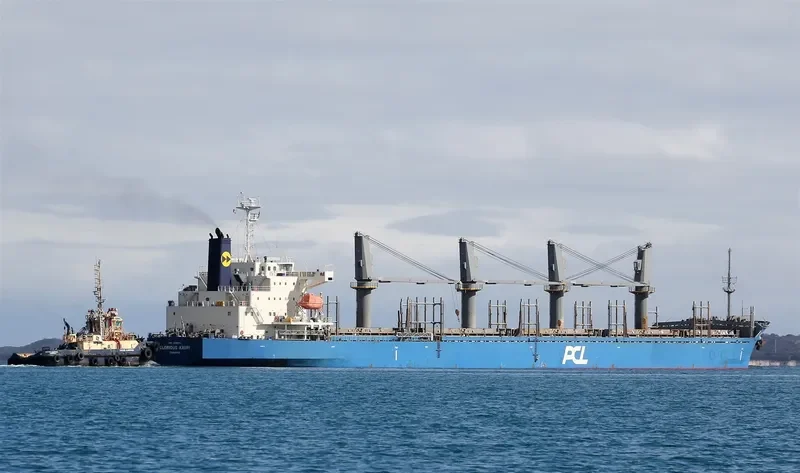 INDIGO MARCH General Cargo IMO 9530711 photo 9
