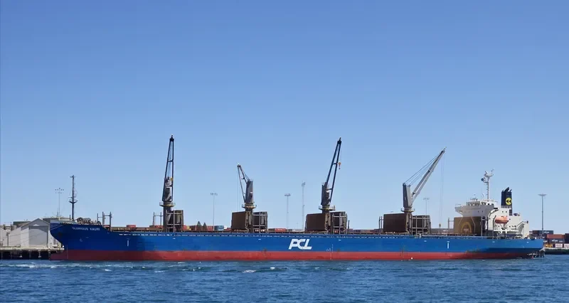INDIGO MARCH General Cargo IMO 9530711 photo 10
