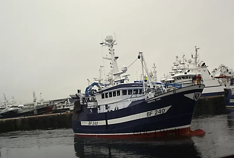 WILLING LAD N102 General Cargo IMO 9530876 photo 8
