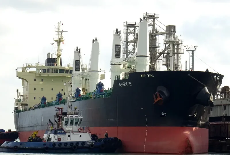 ANGY R Bulk Carrier IMO 9530955 photo 3
