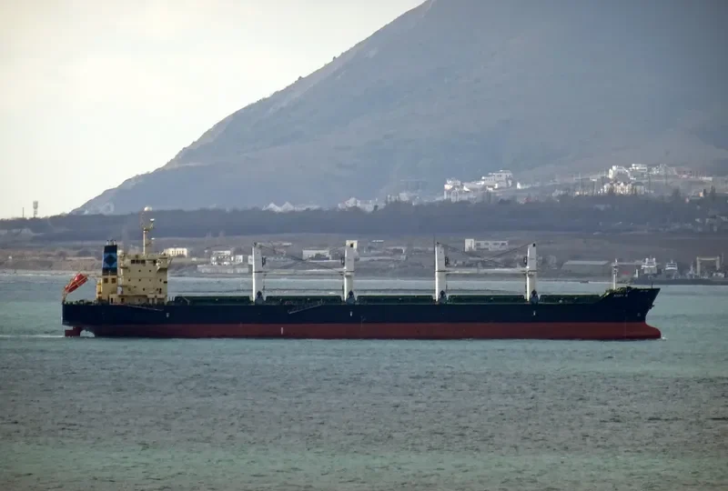 ANGY R Bulk Carrier IMO 9530955 photo 4