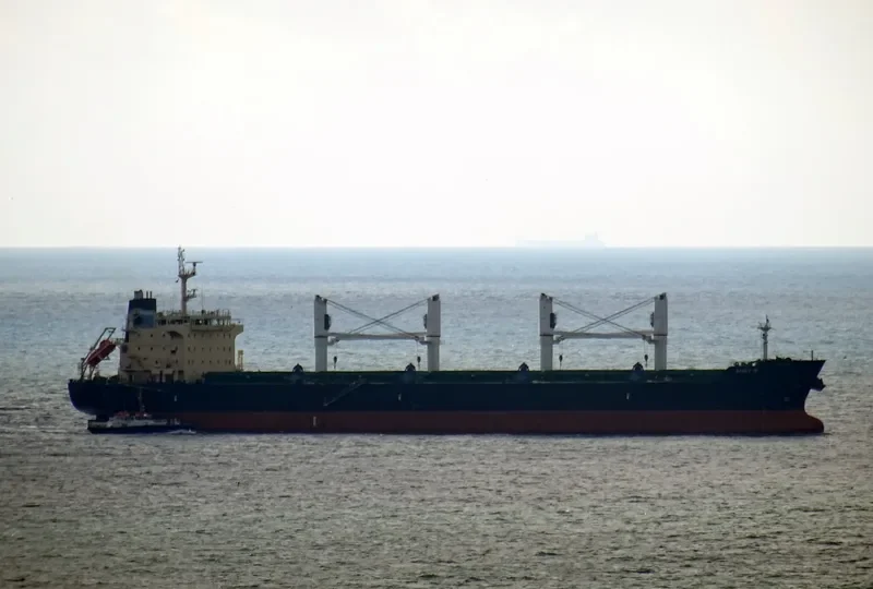 ANGY R Bulk Carrier IMO 9530955 photo 5