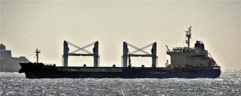 ANGY R Bulk Carrier IMO 9530955 photo 6