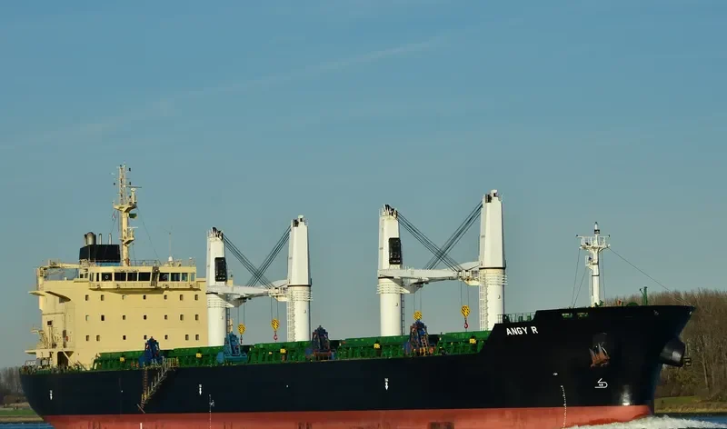 ANGY R Bulk Carrier IMO 9530955 photo 7