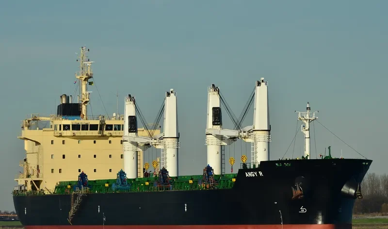 ANGY R Bulk Carrier IMO 9530955 photo 9