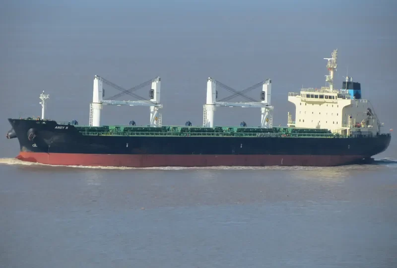 ANGY R Bulk Carrier IMO 9530955 photo 10