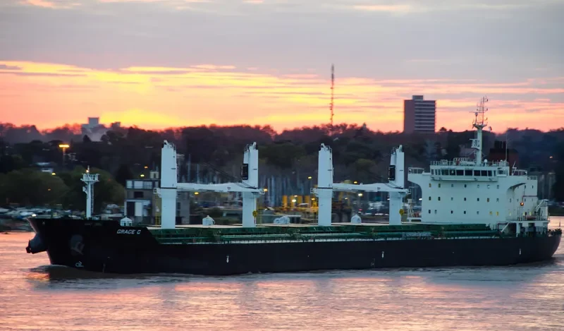 GRACE C Bulk Carrier IMO 9530979
