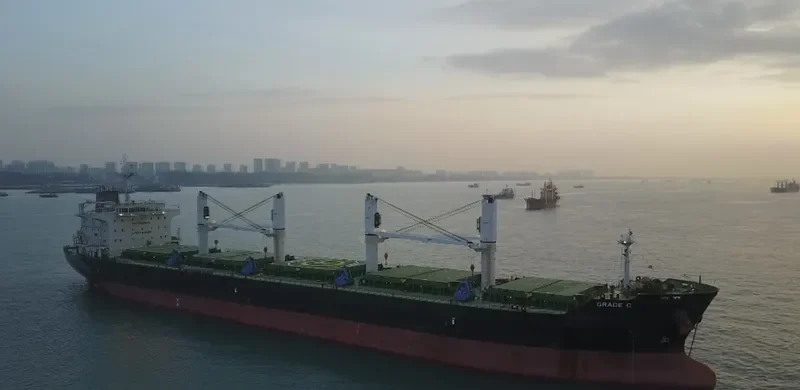 GRACE C Bulk Carrier IMO 9530979 photo 3